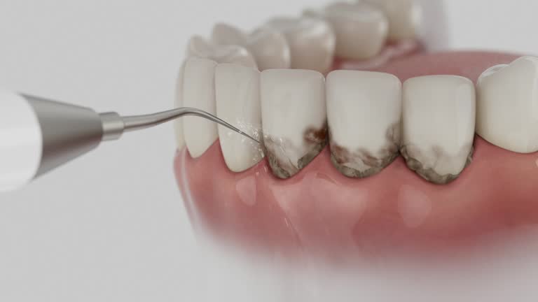 Reliable Dental contractor in Chevy Chase, MD by Dentist Open Now